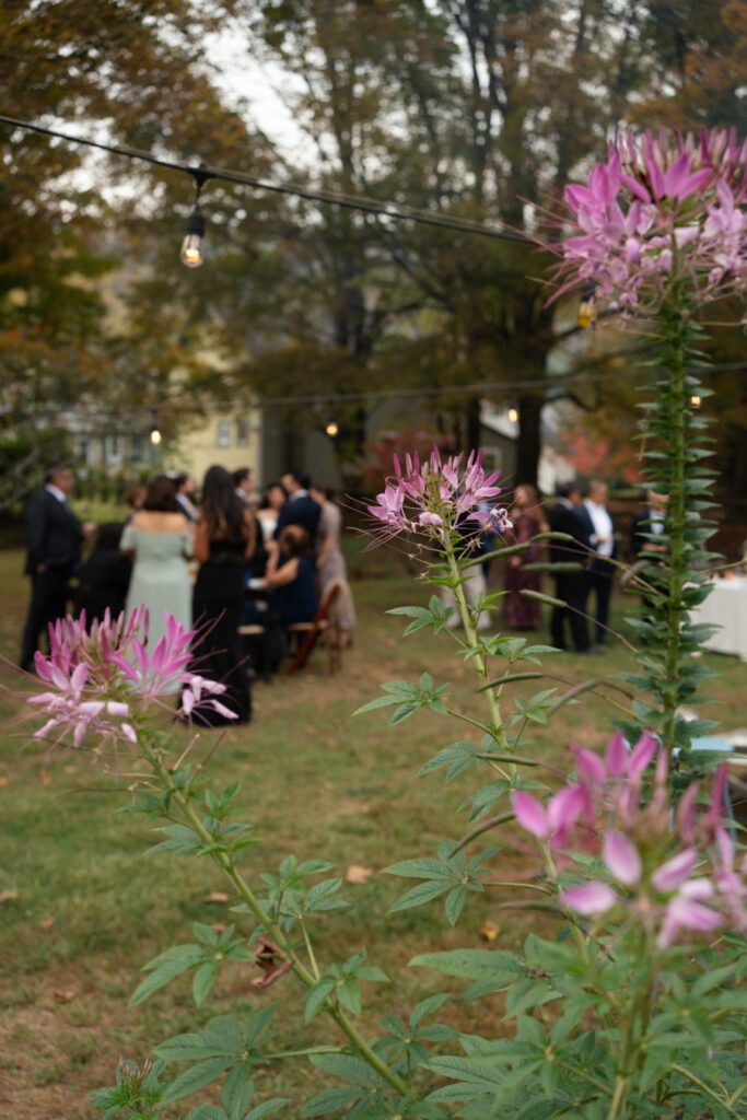 cocktail hour on the north branch inn lawn