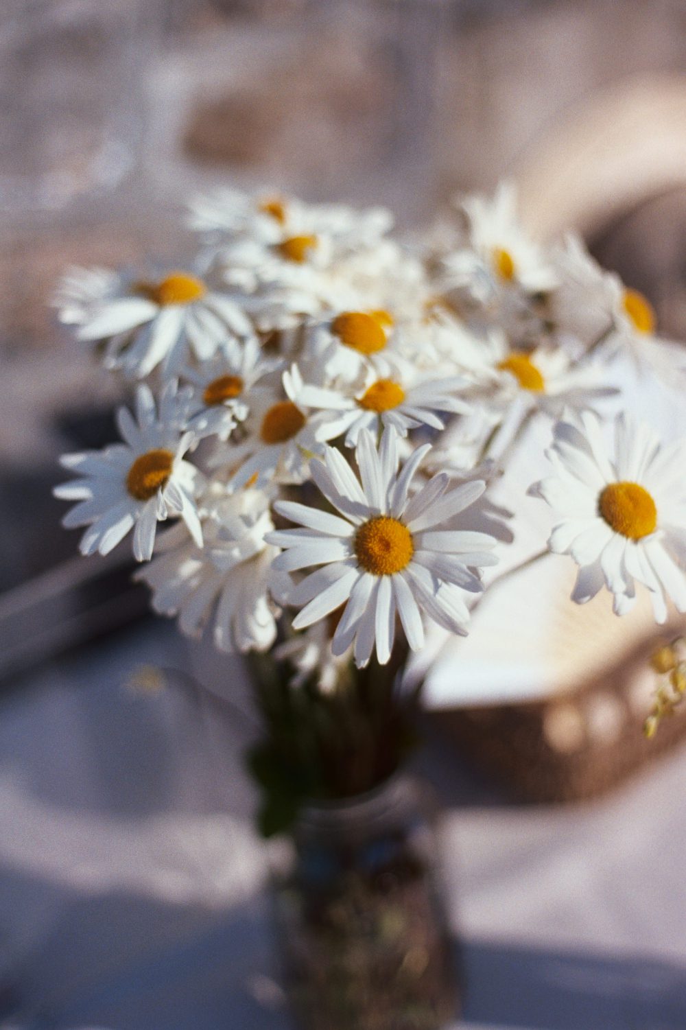 OUTDOOR COCKTAIL HOUR AT CITY WINERY HUDSON VALLEY